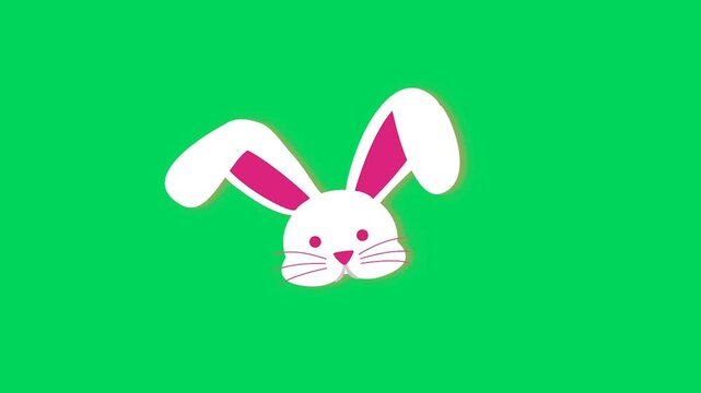 Looped cute Easter bunny head motion on a chroma key green screen background.