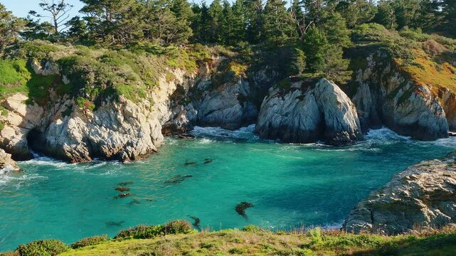 Point Lobos State Natural Reserve in California is a coastal paradise with rugged cliffs, crystal-clear waters, and diverse marine life. A must-visit spot for hiking, photography, and wildlife explora