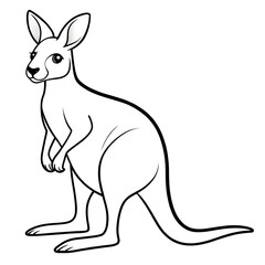 kangaroo with baby