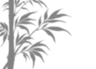 Blurry Black Bamboo tree silhouette with detail branches and leaves in a illustration design. Zen concept.