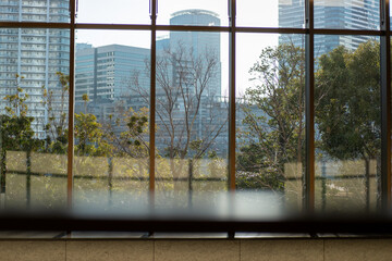 City View Through Large Window with Greenery