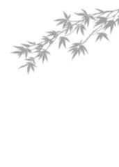 Fototapeta premium Blurry Grey Bamboo twig and leaf branches with black leaves in a natural design, for decoration card banner etc, Shilluation image, zen concept, vertical image.