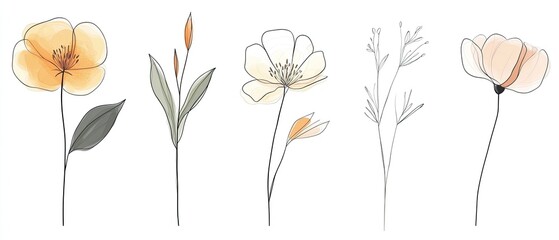 Set of five minimalist floral illustrations in pastel colors.