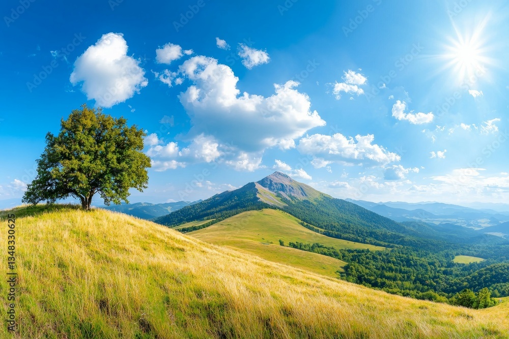 Poster tree stands in a field of grass with a mountain in the background