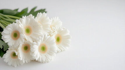 Fresh white flowers arranged beautifully on a simple surface for a serene and calming atmosphere. background for text flowers minimalist aesthetic style in light colors