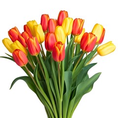 Obraz premium A vibrant bouquet of tulips in various colors, isolated on a white background