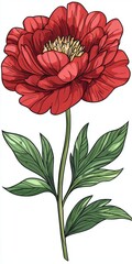 Vibrant Red Flower with Lush Green Leaves, Perfect for Illustrations of Nature and Botanical Themes
