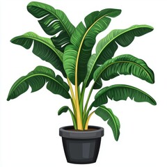 Lush Tropical Indoor Plant in Modern Black Pot with Vibrant Green Leaves for Home and Office Decor