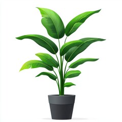 Lush Green Indoor Plant in Simple Black Pot for Modern Home or Office Decor