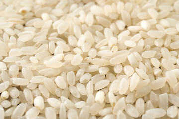 アメリカ産の米　カルローズのイメージ