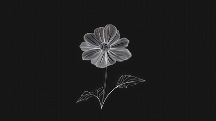 Stunning Line Art Flower Design: A Delicate Floral Illustration