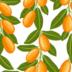 seamless pattern with cumquat, vector drawing citrus tree branches with fruits and green leaves at white background, hand drawn illustration