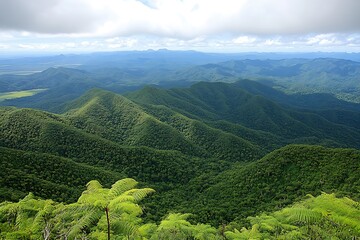 Overlook of Lush Tropical Rainforest Canopy with Distant Mountain Range