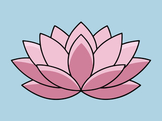 beautiful lotus flower