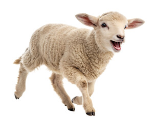 Fototapeta premium A light beige lamb running with its mouth open on a isolated on a transparent background Png