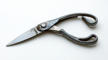 Obraz premium Vintage shears with a worn patina, showing signs of age and use.