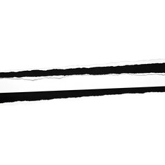 Minimalist Black Ink Line on Transparent Background
