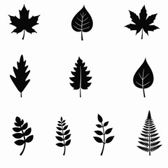 Obraz premium A collection of nine black and white leaf silhouettes showcases diverse botanical shapes against a stark white background, highlighting nature's variety.