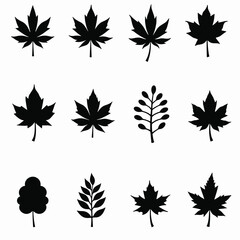 Fototapeta premium Set of vector illustrations of diverse tree leaves, black silhouettes on a white background. Autumnal foliage icons, nature symbol, arboreal design.