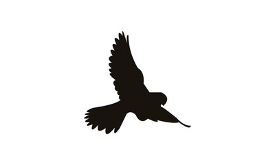 African hobby bird Silhouette Design  And Vector Illustration. 