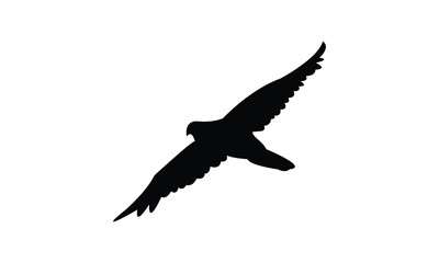 African hobby bird Silhouette Design  And Vector Illustration. 
