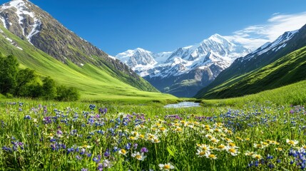 Alpine Valley Wildflower Meadow  Mountains  Stream  Spring