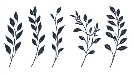 Obraz premium Elegant Botanical Illustrations: Five Unique Silhouette Branches