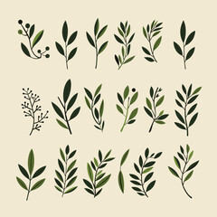 Fototapeta premium Assorted botanical foliage of dark and light green sprigs with leaf and berry elements against a cream background.