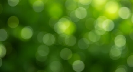 Obraz premium Blurred Fresh Nature Green Park background of environment