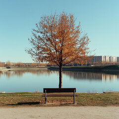 Obraz premium Lonely tree in the Confluences park. Ivry-sur-Seine city