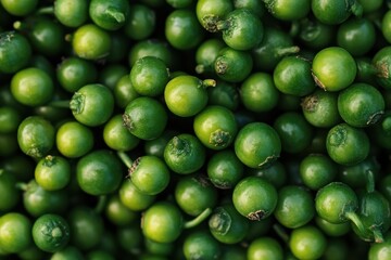 Freshly harvested green berries arranged in dense clusters on a wooden surface