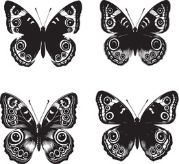 
Common Buckeye Butterfly Vector | Realistic Butterfly Illustration | High-Quality Digital Artwork