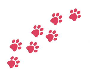 Animal paw prints isolated on white or transparent png. Perfect for design, illustrations, and creative projects featuring animal tracks.