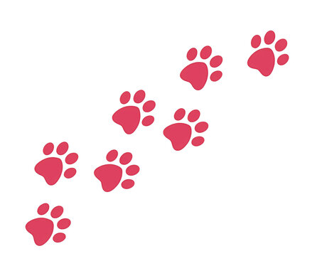 Animal paw prints isolated on white or transparent png. Perfect for design, illustrations, and creative projects featuring animal tracks.