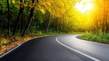 Fototapeta premium Scenic Autumn Road Winding Path Through Golden Forest