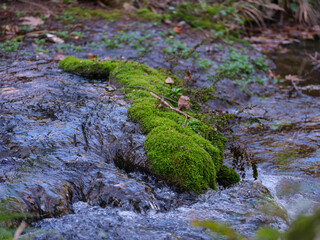 beautiful river in the mountain