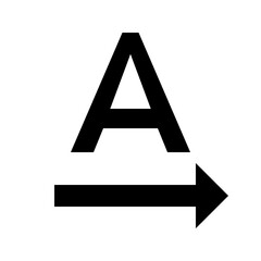 Text Direction Icon