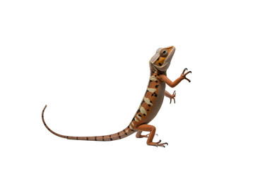 Fototapeta premium Chameleons Vibrant Colors and Nature’s Camouflage