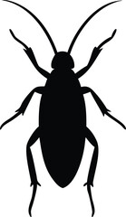 A black and white image of a beetle with a black design on it
