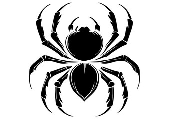 Art Nouveau spider Graphic Accents, vector illustration, vintage elements	