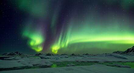 Naklejka premium Vibrant Aurora Borealis Illuminating Snowy Landscape Under Starry Sky