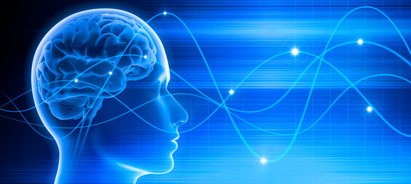 Male head with brain activity - Brain waves - X ray 3D EEG illustration