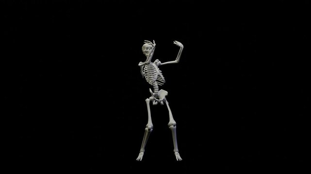 Fun seamless looped animation of a dancing skeleton