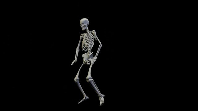 Fun seamless looped animation of a dancing skeleton