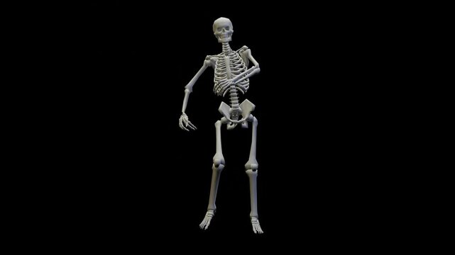 Fun seamless looped animation of a dancing skeleton