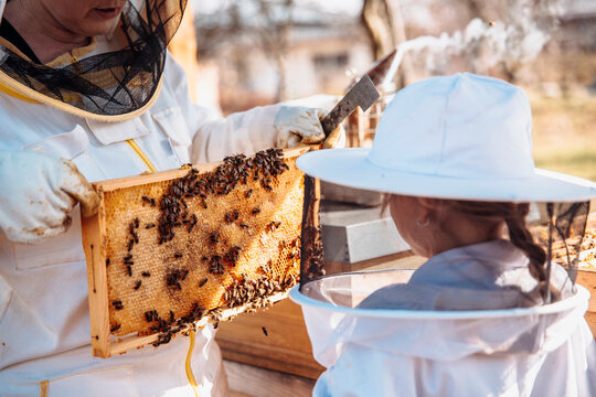 Weiterbildung am Bienenstock. Ein Imker erkl&auml;rt einem Kind welche Schritte notwendig sind bis es fertigen Honig gibt.