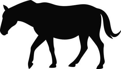 Obraz premium Horse Silhouette Isolated, Equine Animal Walking, Mammal Stallion Black Shape, Equestrian