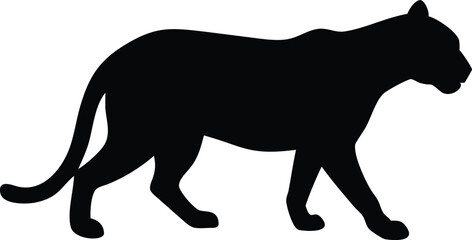 Silhouette of a Black Panther Walking, Isolated on White, Wild Cat, Predator, Feline