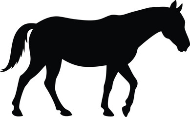 Obraz premium Silhouette of a Horse Walking, Graceful Animal Movement on a White Background