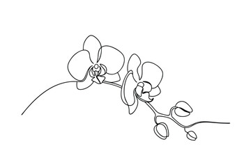 Elegant SingleLine Orchid Drawing Botanical Art, Floral Design